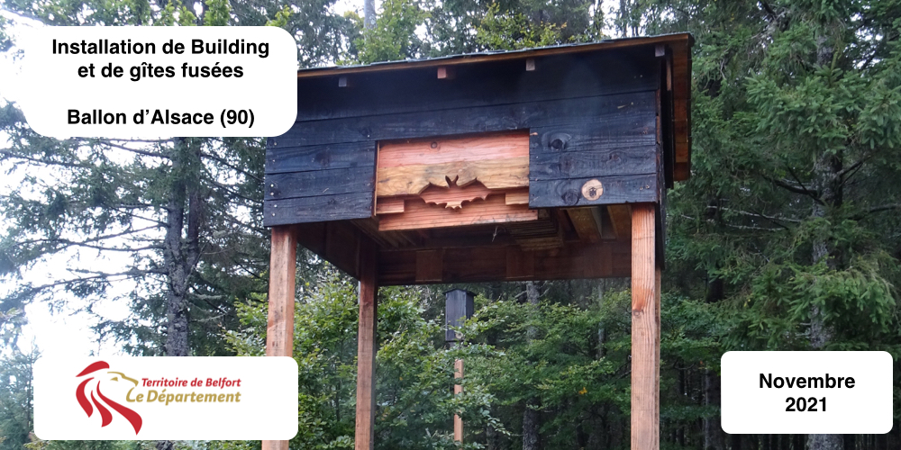 Building, gîtes chauves-souris sur mâts, Franche-Comté