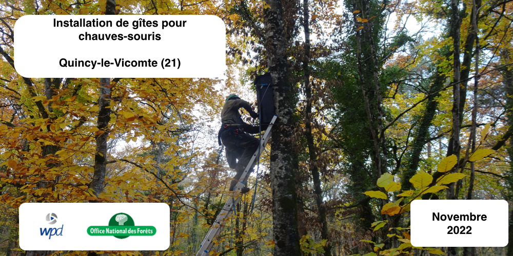 Favrication et installation de gîte pour chauves-souris - ONF - Bourgogne