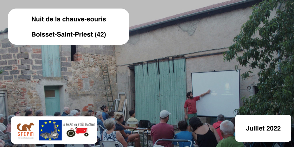 Nuit de la chauves-souris - Animation chauves-souris