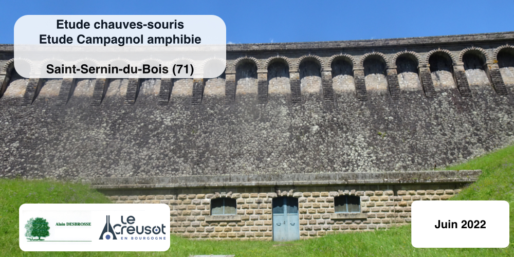 Etude chauves-souris - Petits Mammifere - Campagnol amphibie -