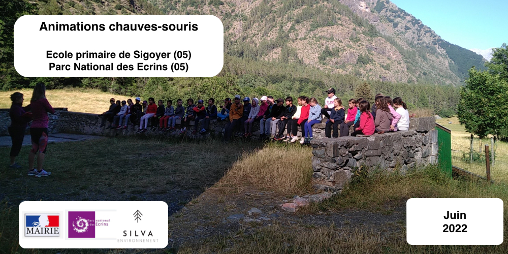 Animation chauves-souris école primaire