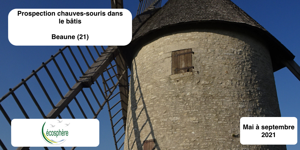 Prospection du bâtis - Etude chauves-souris