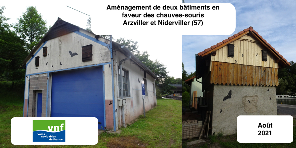 Aménagement de bâtiment pour la faune - Chiroptères