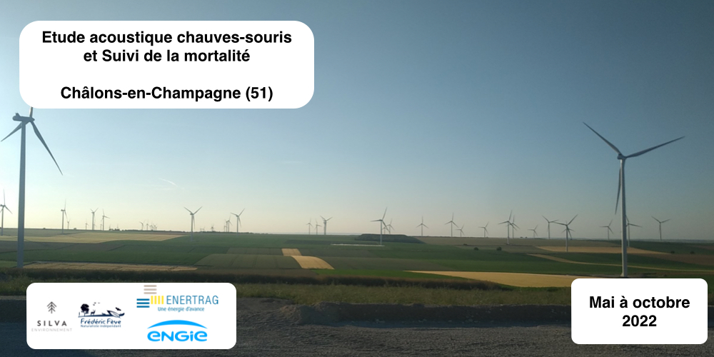 Étude chiroptère acoustique