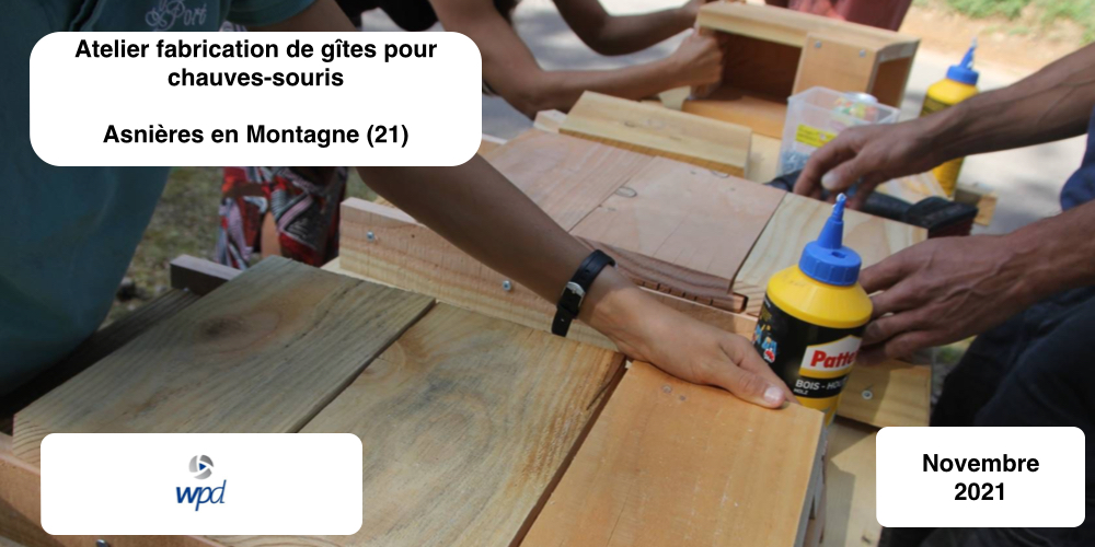 Ateliers de fabrication de nichoirs