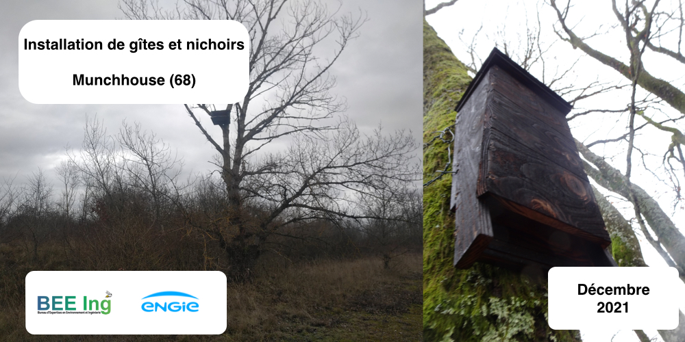 Nichoirs et gîtes pour chauves-souris - Fabrication et installation