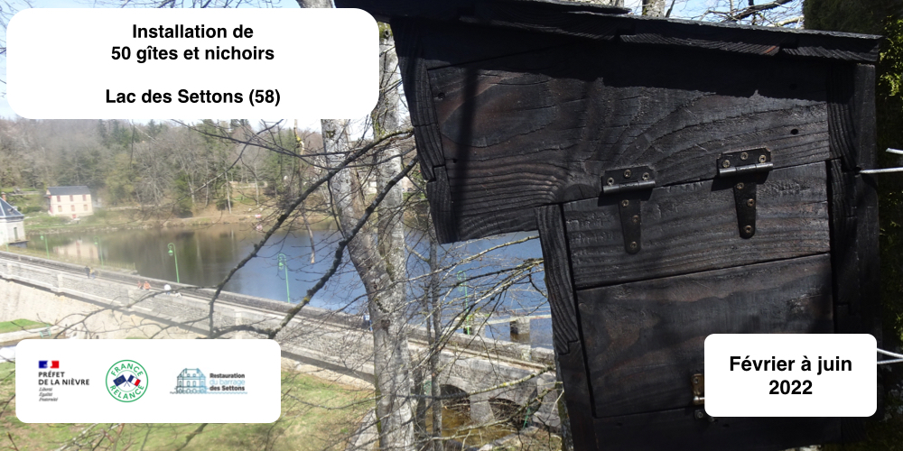 INSTALLATION DE NICHOIRS ET GITES pour oiseaux, chauves-souris, Muscardin, Écureuils, loirs, lérots.