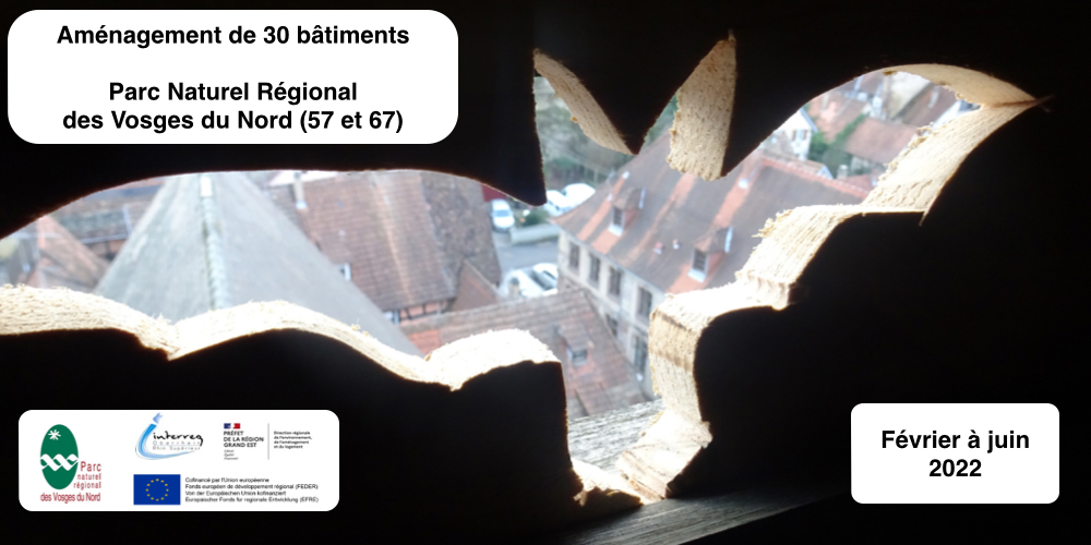 Aménagement de bâtiment pour chauves-souris - Parc naturel régional des Vosges du Nord - Programme ITERREG - NABU