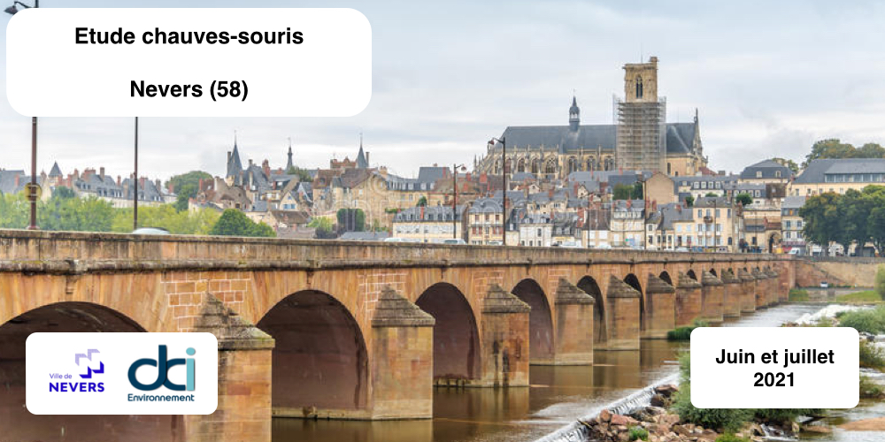 Inventaire chiroptere