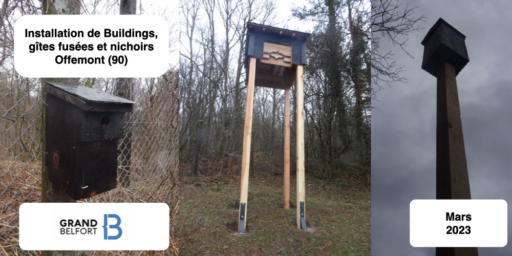 Installation building chauves-souris gîte fusée chauves-souris et nichoirs oiseaux en bois bois brulé - big bat house - tour pour chauves-souris