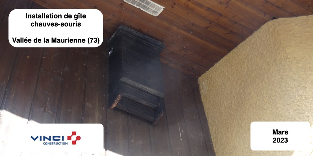 installation et fabrication de nichoirs et gîte chauves-souris en bois brulé