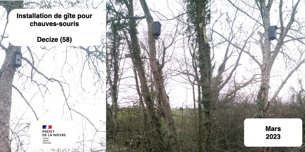 Installation et fabrication de nichoirs bois et béton bois oiseaux chauves-souris Decize nièvre bourgogne