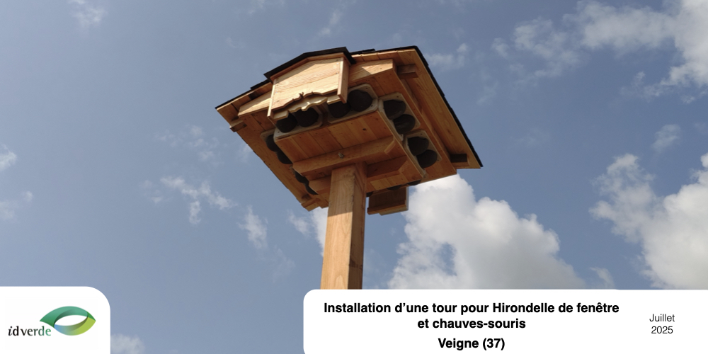 Tour Hirondelle