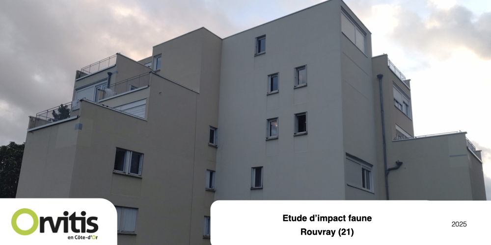 etude impact faune bâti
