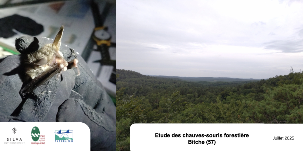 Etude télémétrie / Radiopistage