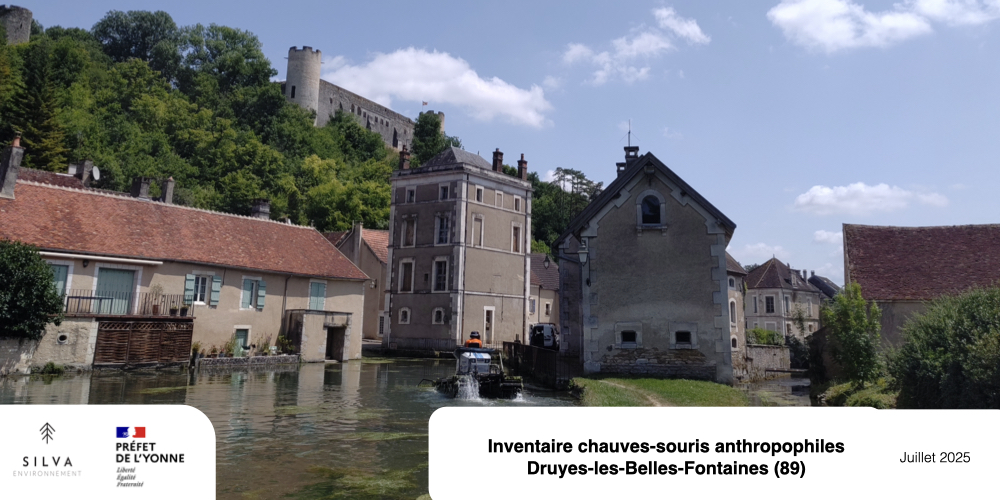 Prospection de bâtiment