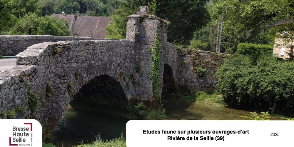 etude ouvrages d'art