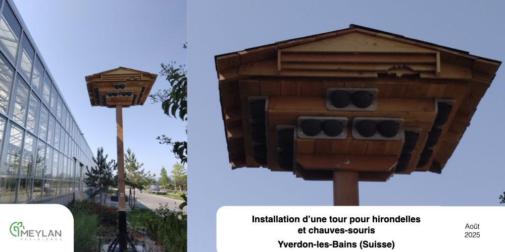 tour Hirondelle