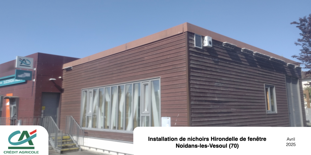 Nichoirs Hirondelle