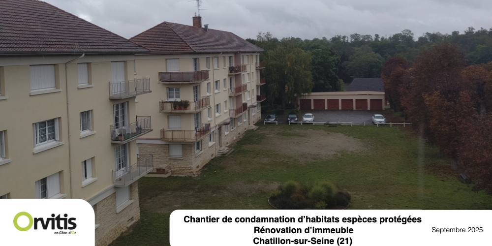 chantier de condamnation