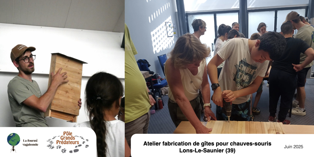 Atelier fabrication de nichoirs gite